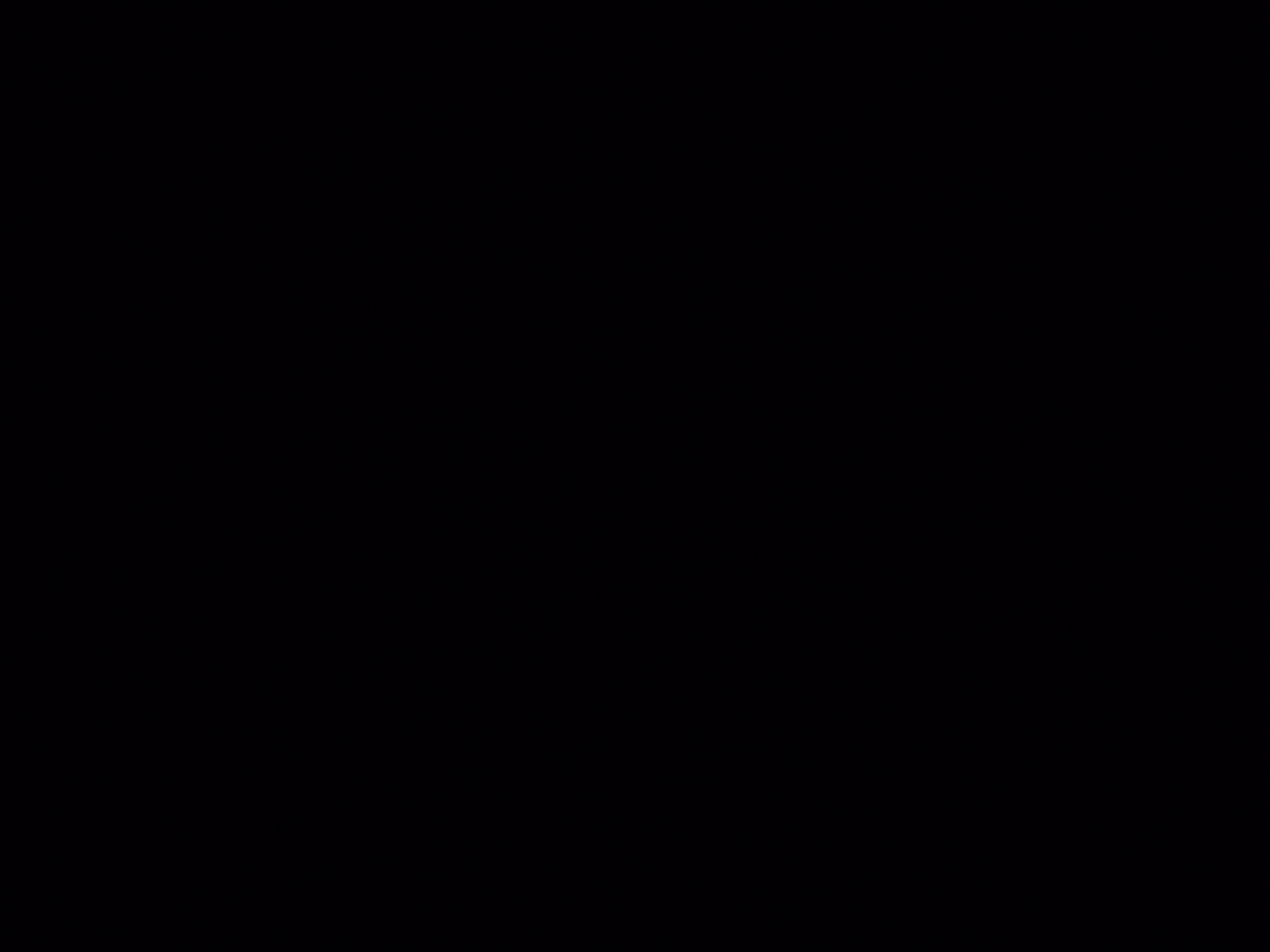 20260725_062817.jpg