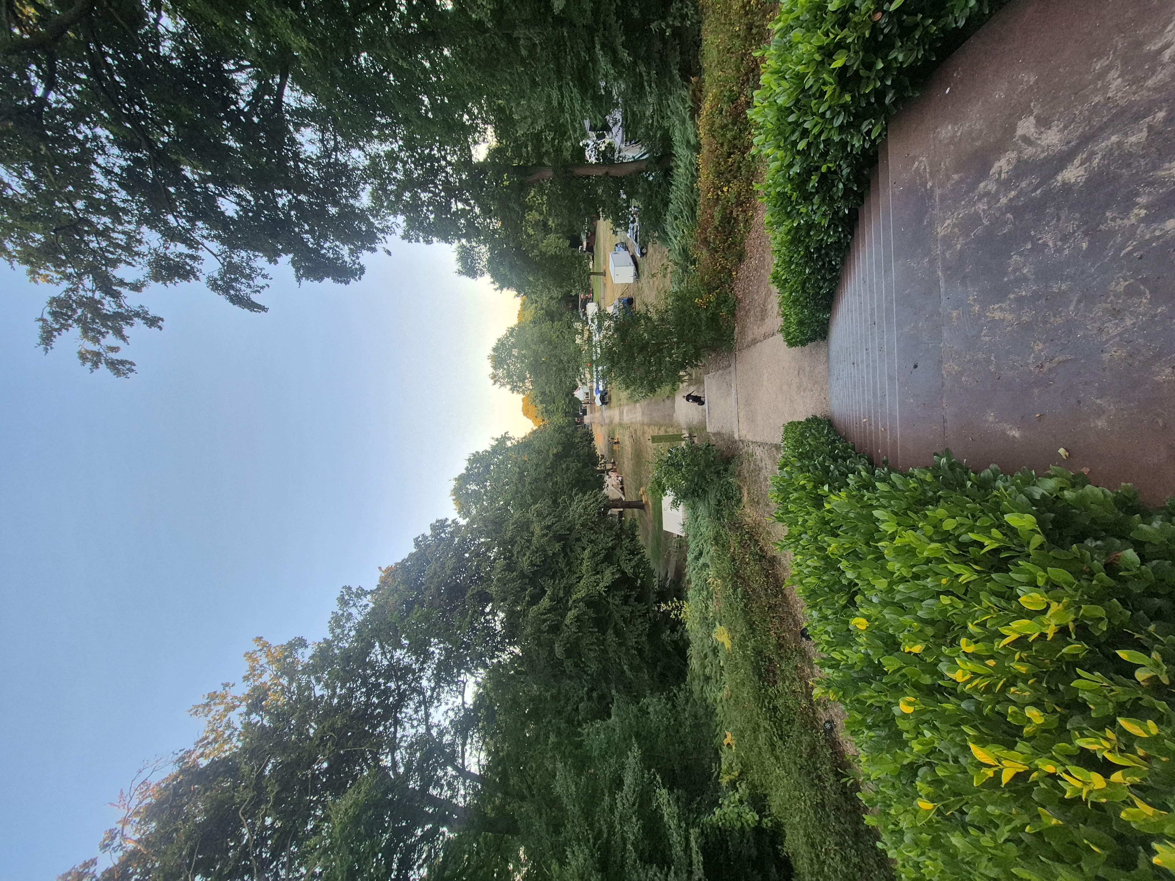 20260729_205954.jpg
